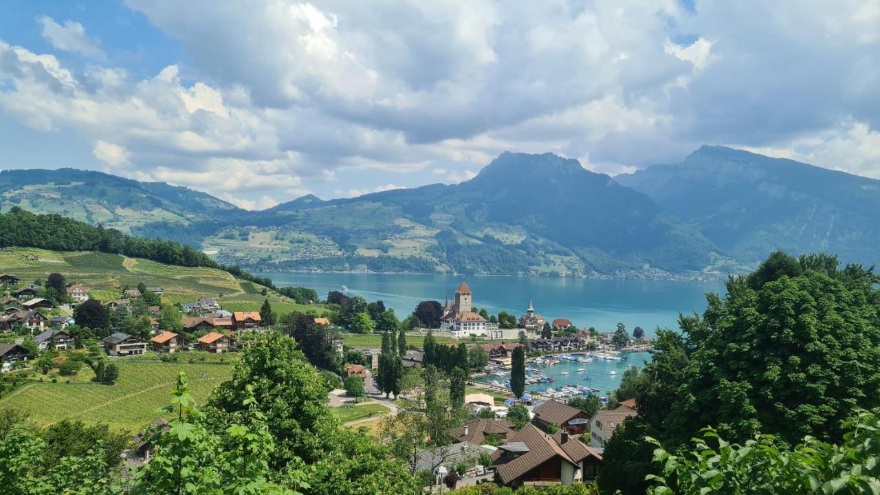 Swiss Holiday Apartments ชปีตส์ ภายนอก รูปภาพ
